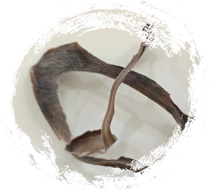 Air kerbau air (shuǐniújiǎo)