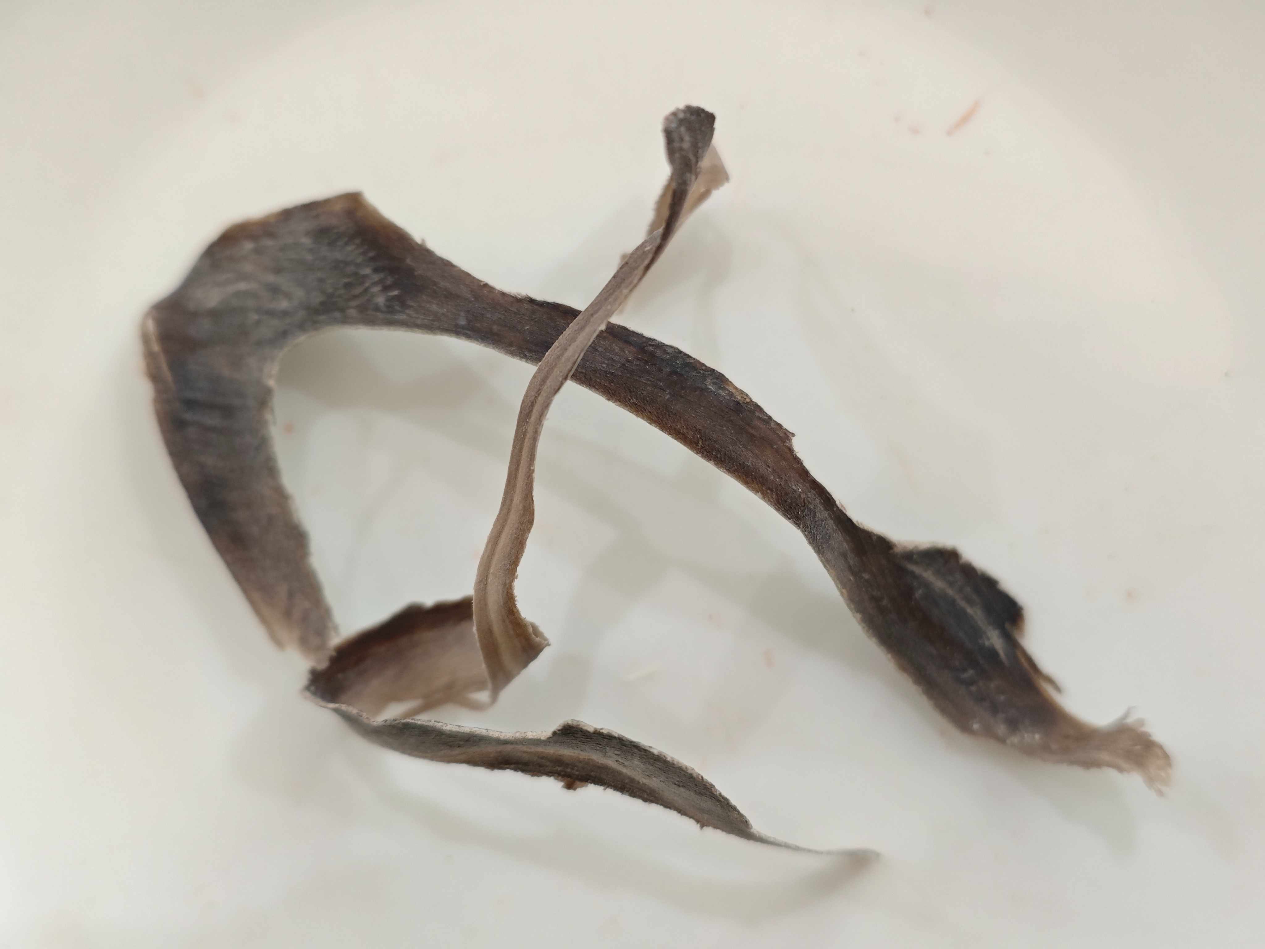 Air kerbau air (shuǐniújiǎo)