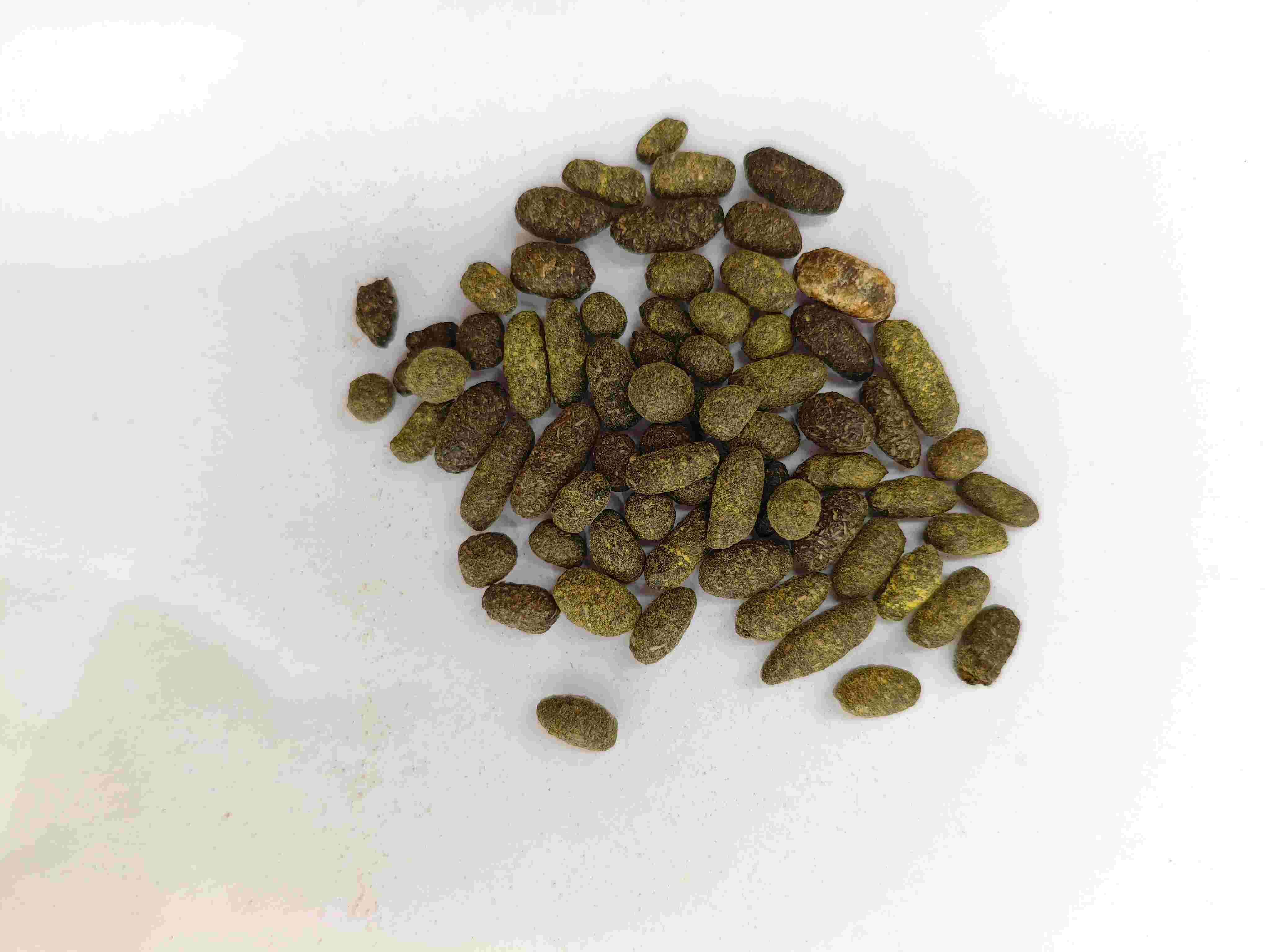 Resin pokok lacquer (wǔl&iacute;ngzhī)