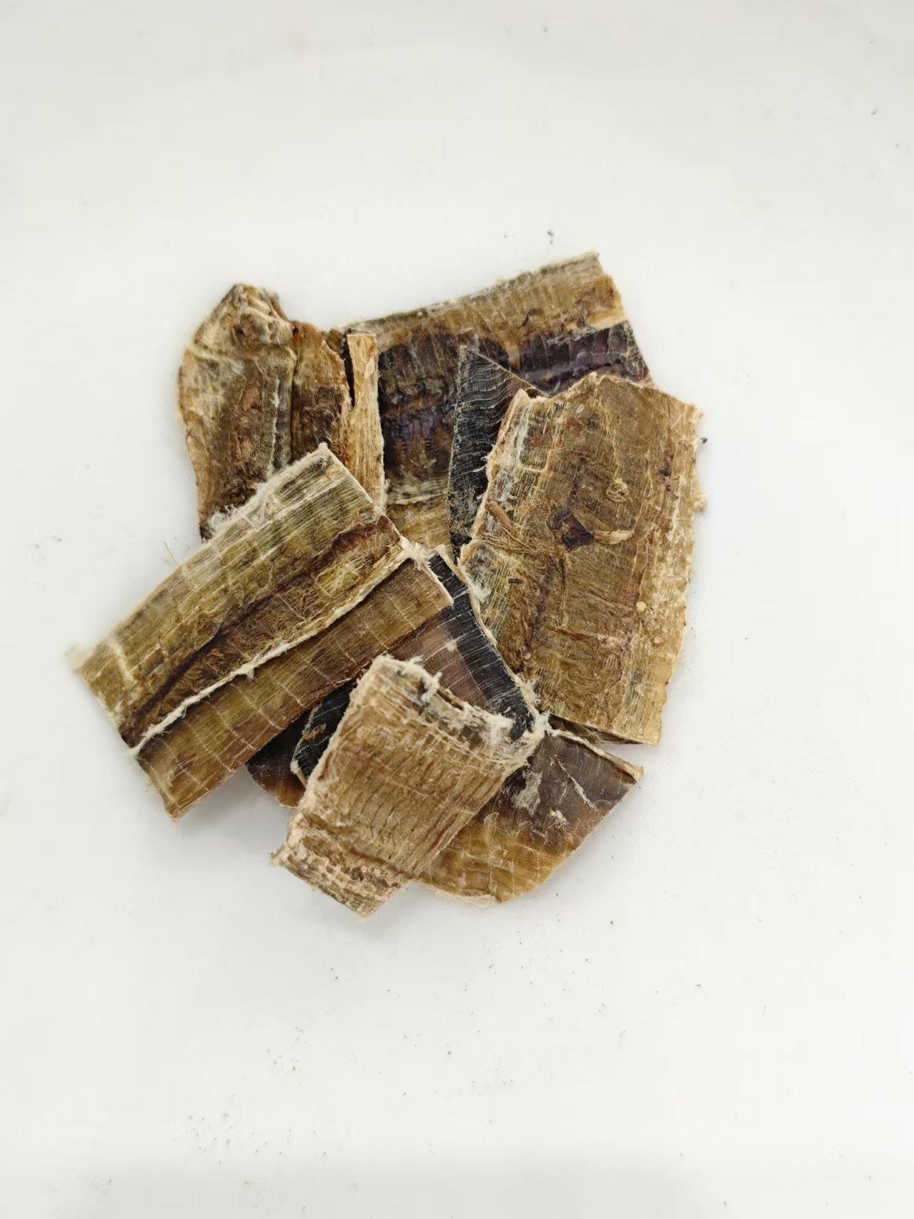 Cacing tanah (d&igrave;l&oacute;ng)