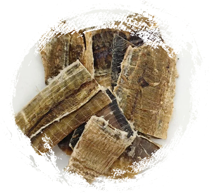 Cacing tanah (dìlóng)