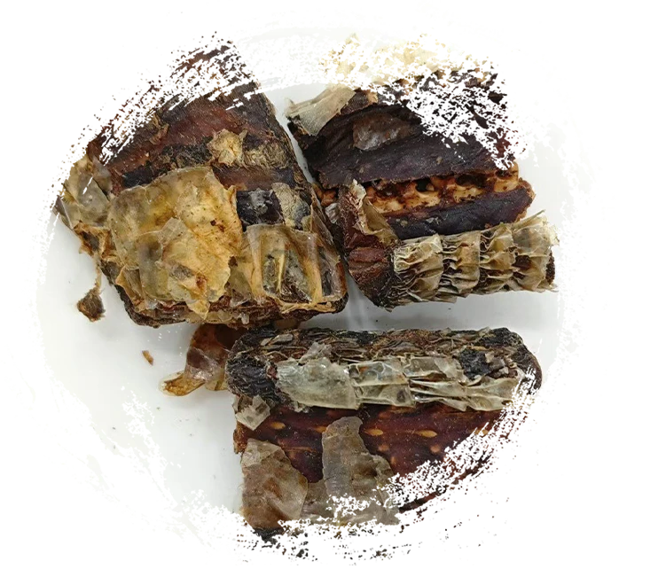 Ular Black-Zigzag yang diproses wain (Jiǔ Wūshāo Shé)