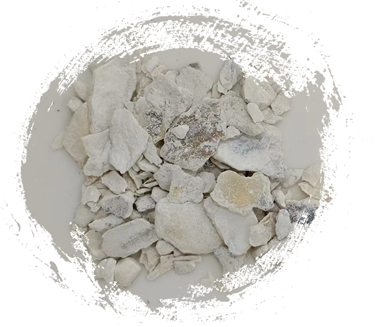 Shell tiram (mǔlì)