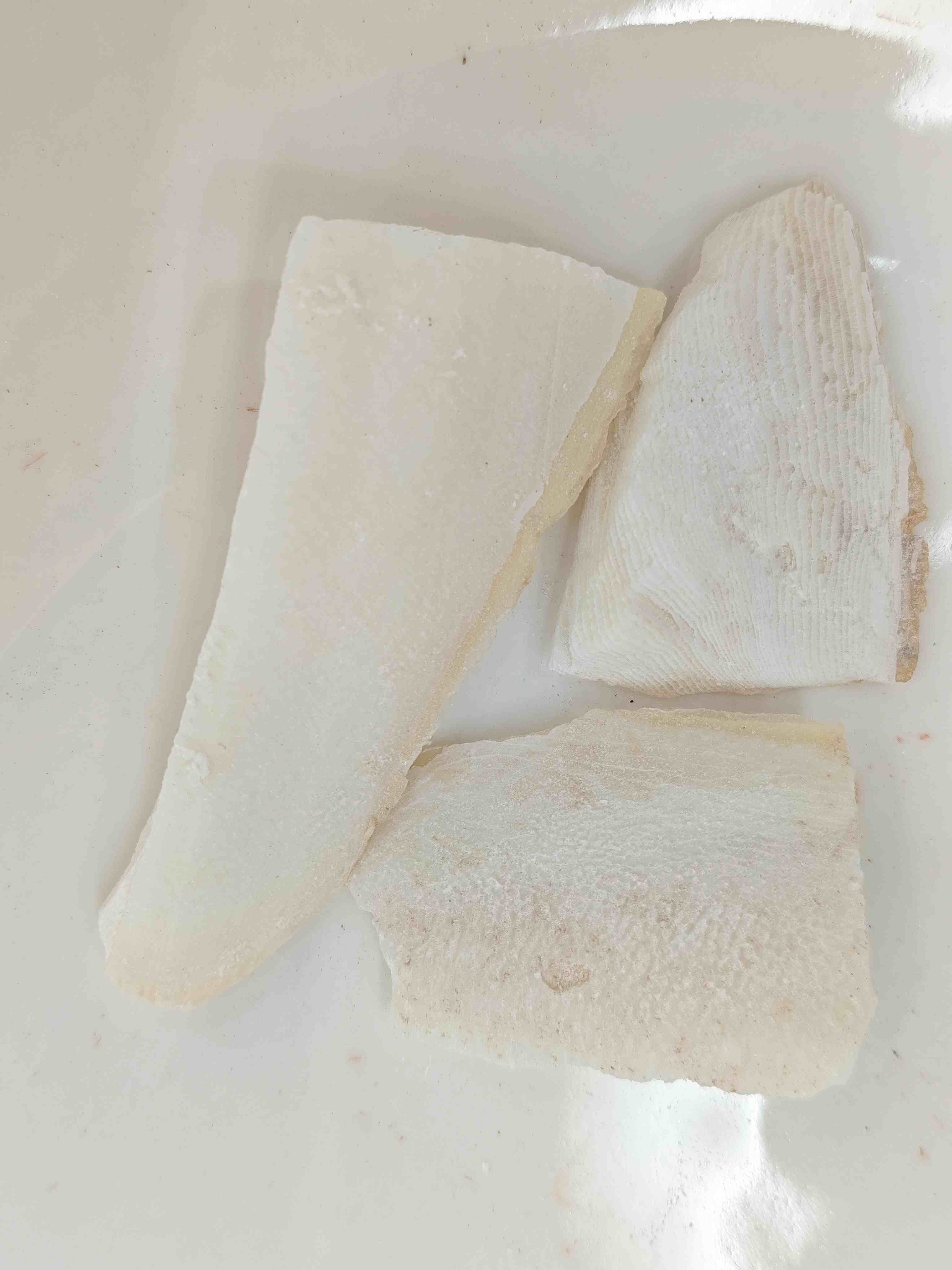 Cuttlebone (Hǎipiāoxiāo)