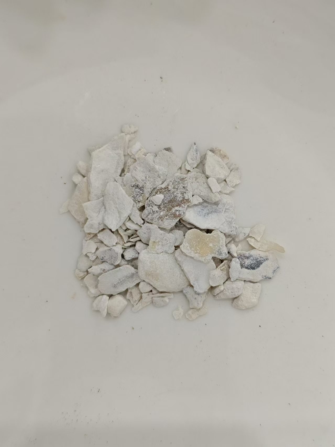 Shell tiram (mǔl&igrave;)