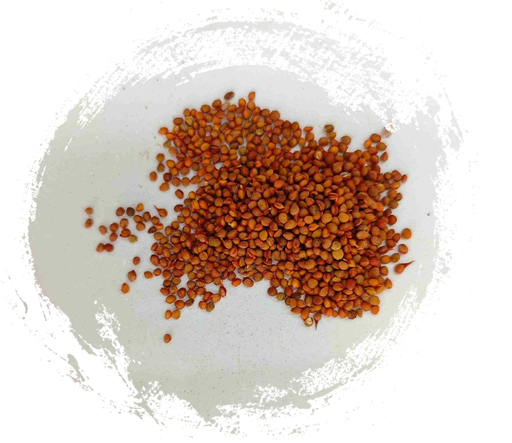 Ciri-ciri Mana Yang Perlu Anda Cari dalam Perubatan Galian Tradisional Cina Berkualiti Tinggi?