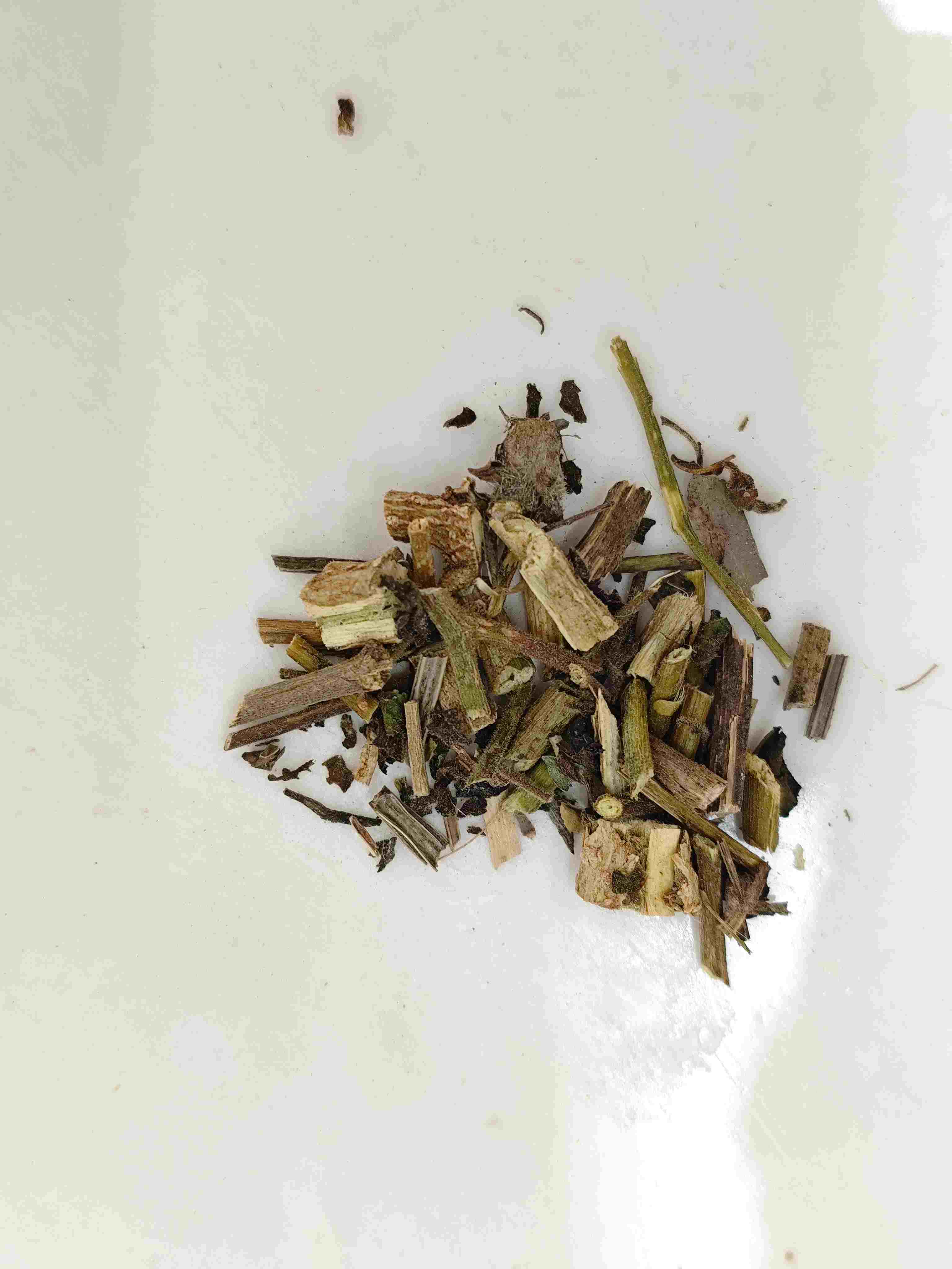 Bud Putih (báiyīng)