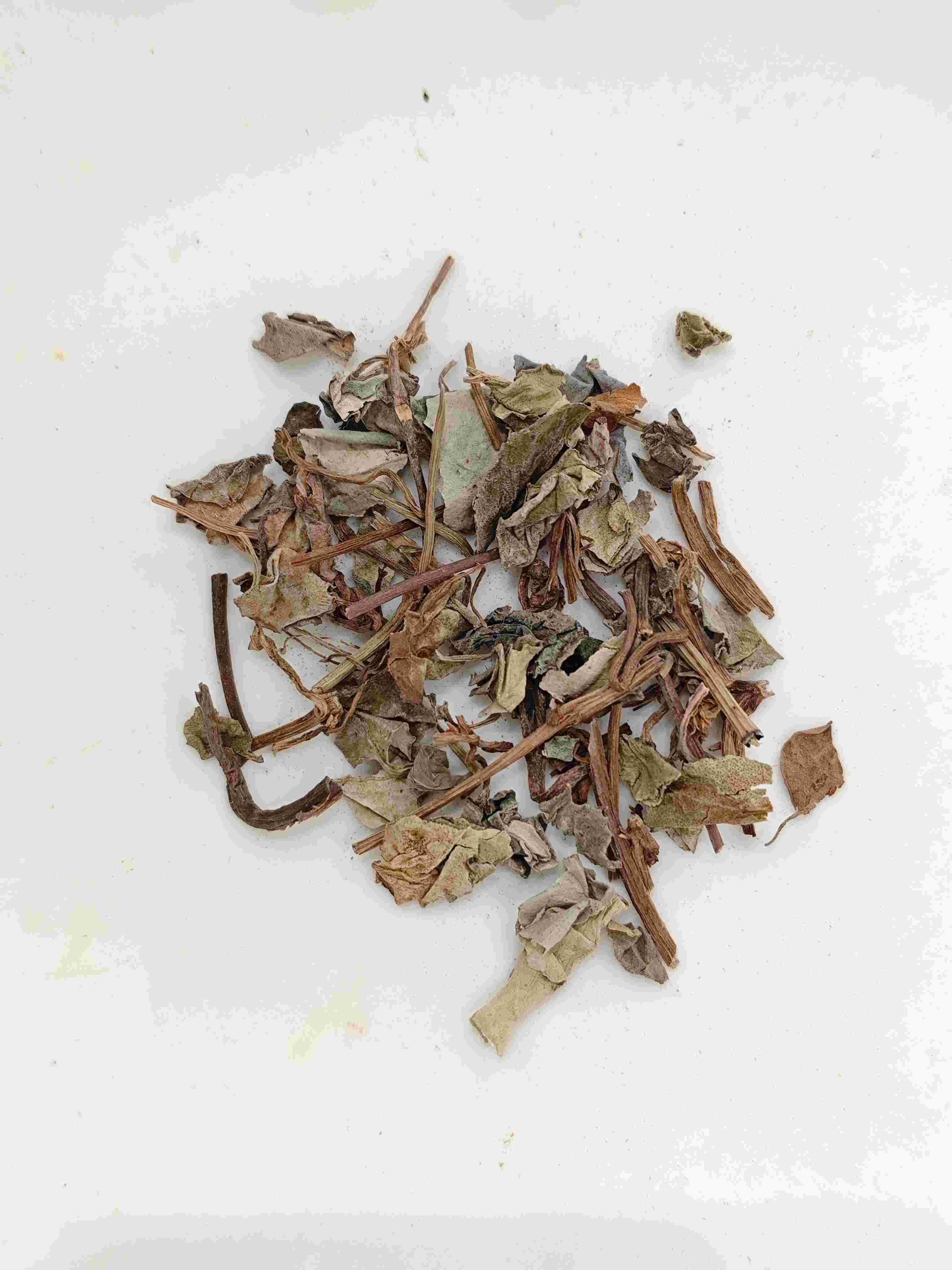 Coinweed (jīnqi&aacute;n cǎo)