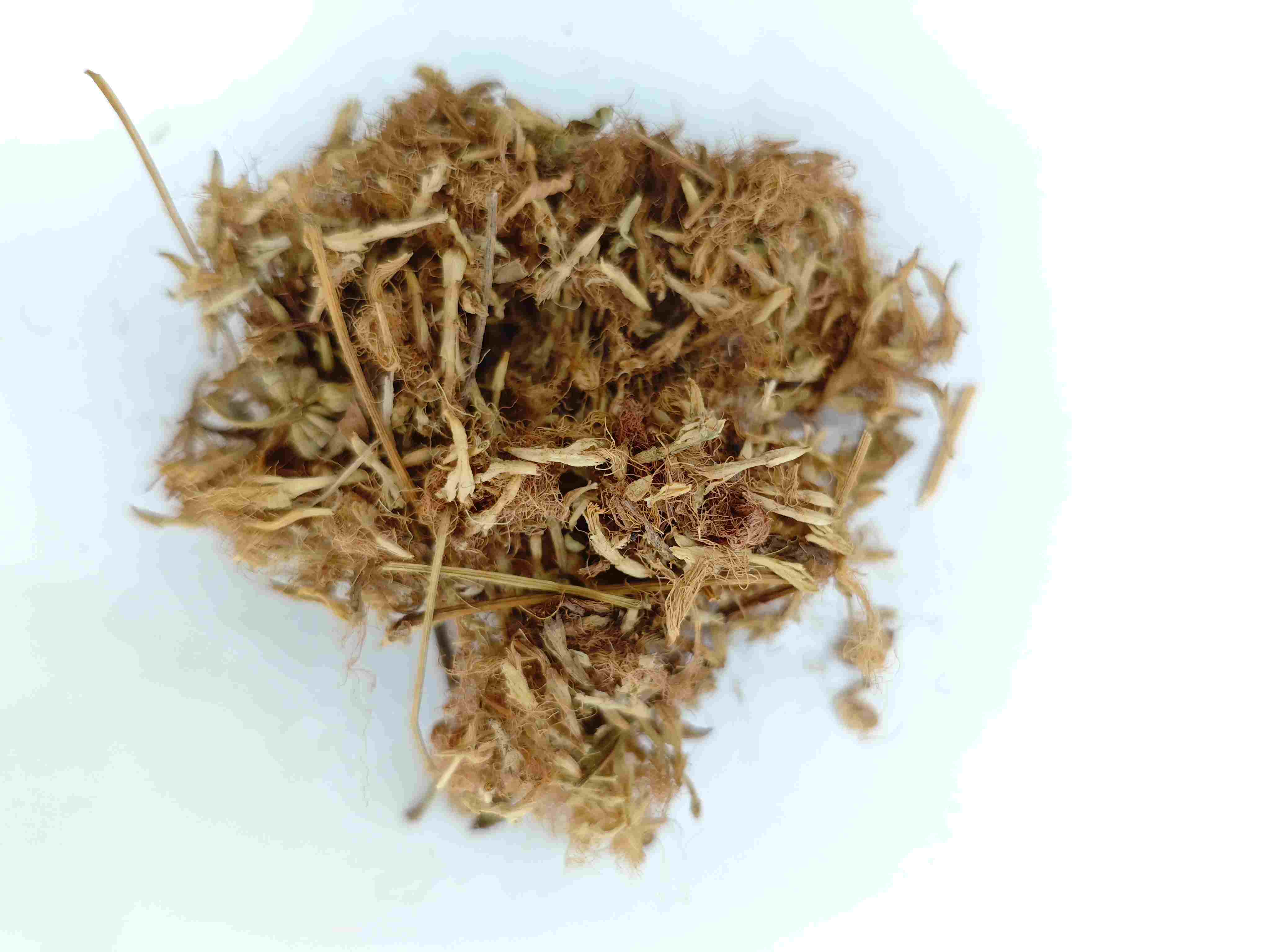 Bunga pokok sutera (héhuān huā)