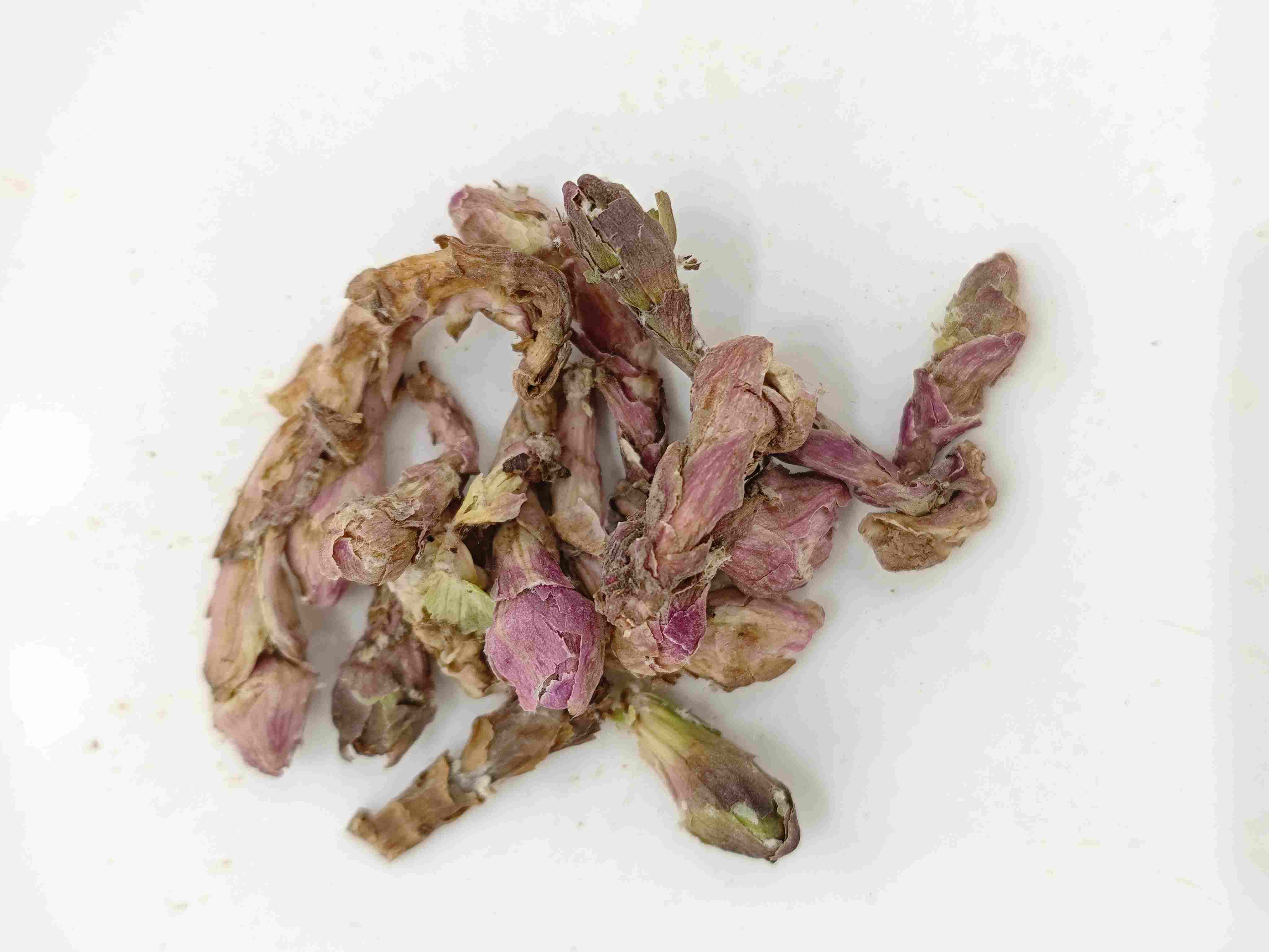 Bunga Winterhelmet (kuǎndōng huā)