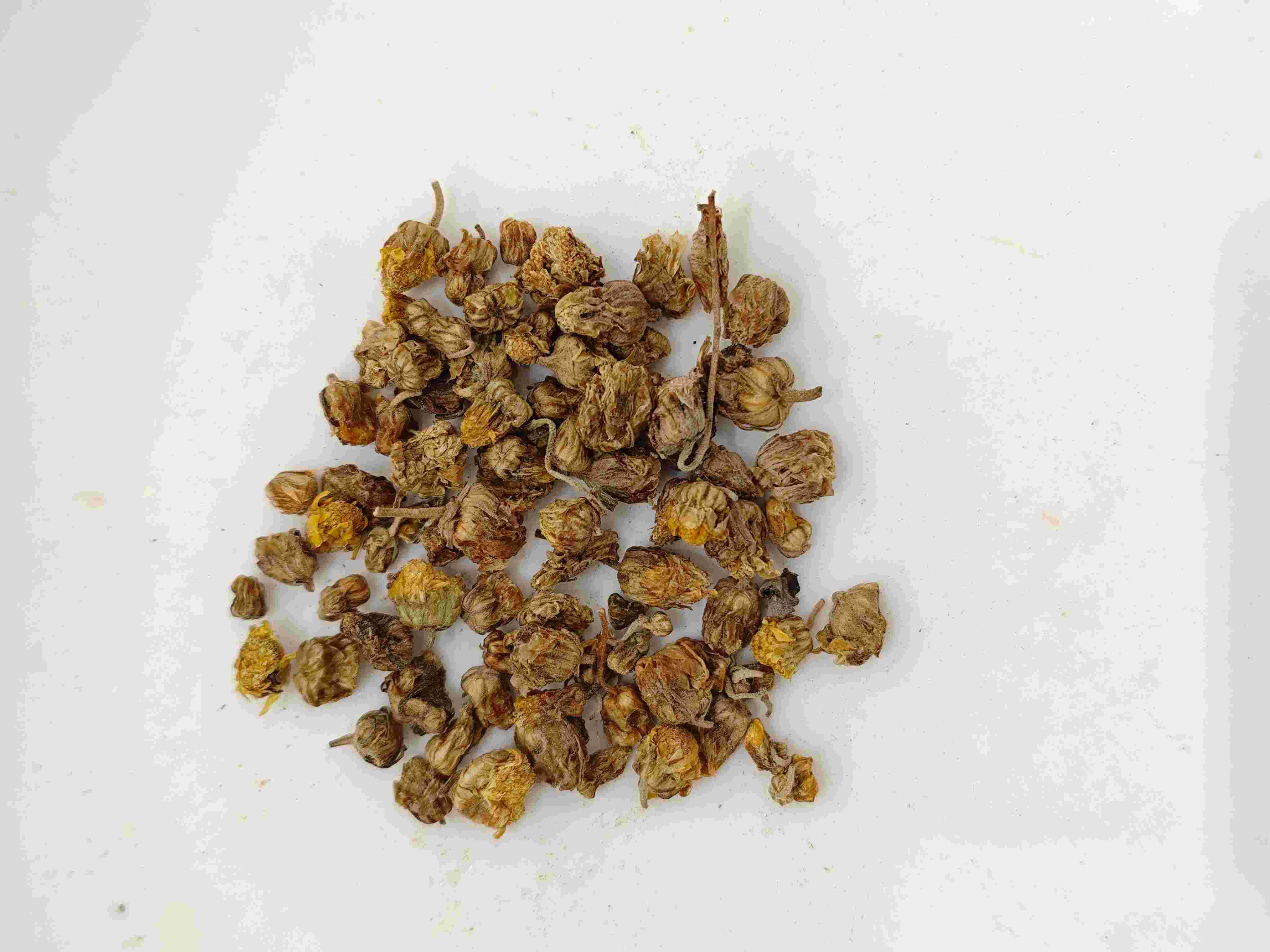 Chrysanthemum liar (yě j&uacute; huā)