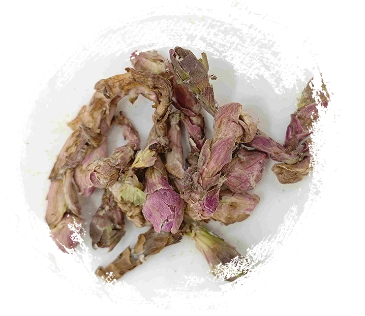 Bunga Winterhelmet (kuǎndōng huā)