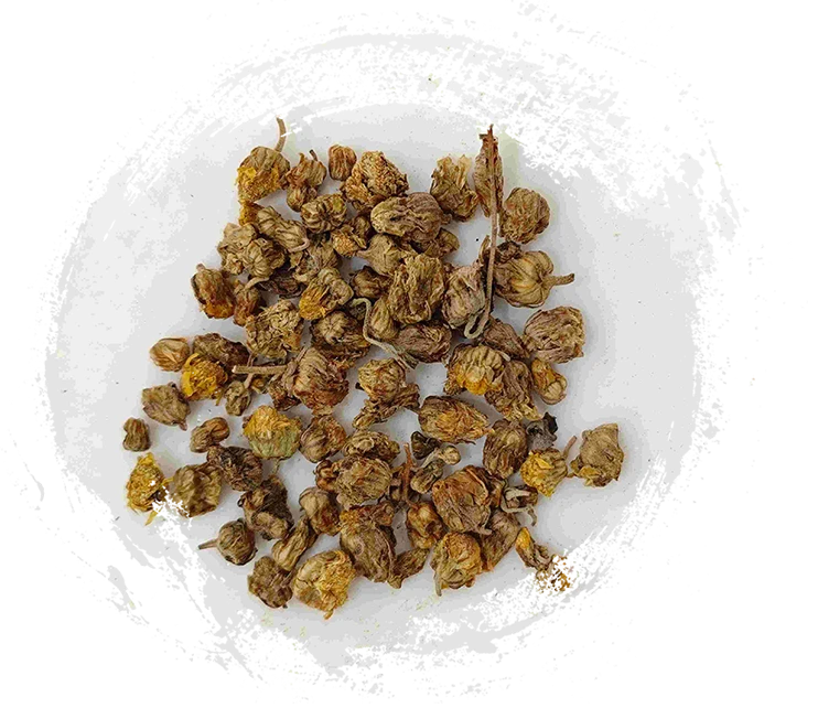 Chrysanthemum liar (yě jú huā)