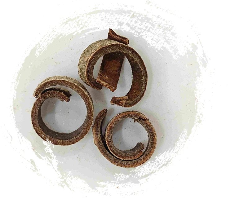 Magnolia Bark (Hòupò)