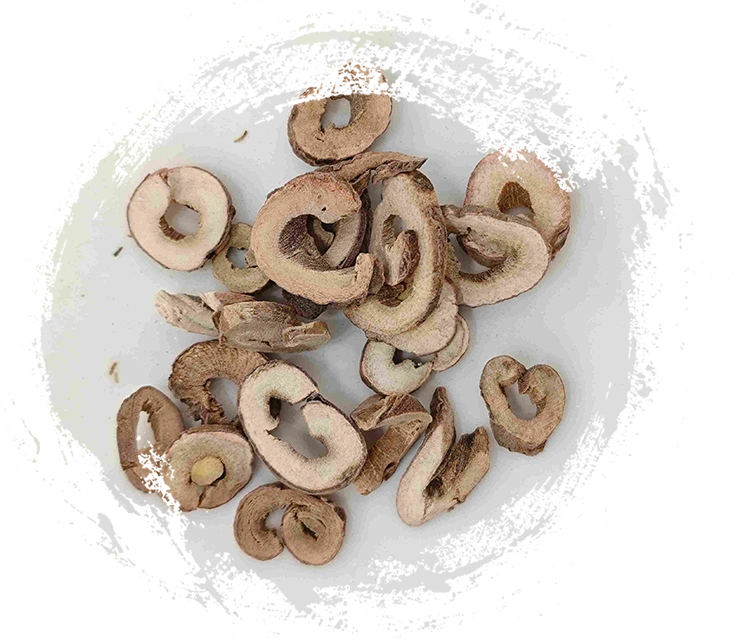 Kulit peony pokok (mǔdān pí)