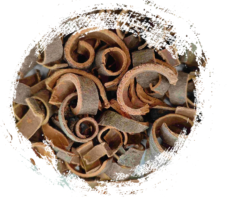 Sifat dan Ciri Penyembuhan Utama Tumbuhan Herba TCM