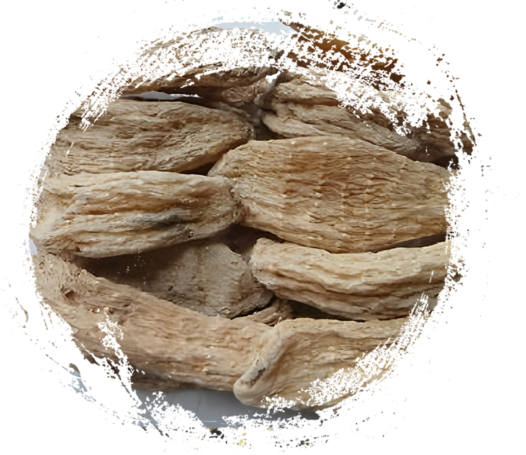 Shennongjia Gastrodia Elata dari Hubei