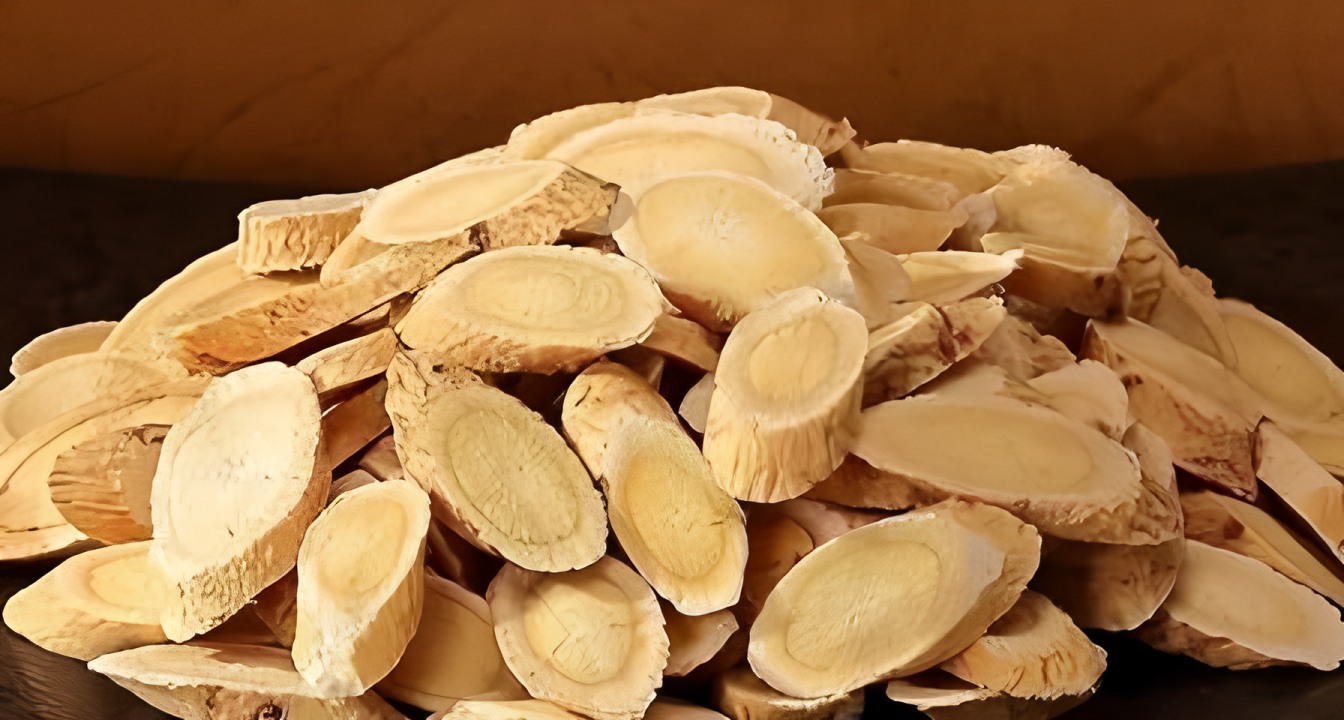 Astragalus Utara Hengshan