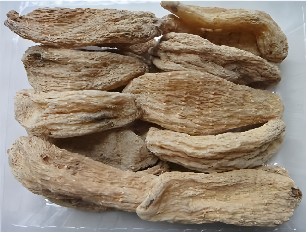 Shennongjia Gastrodia Elata dari Hubei